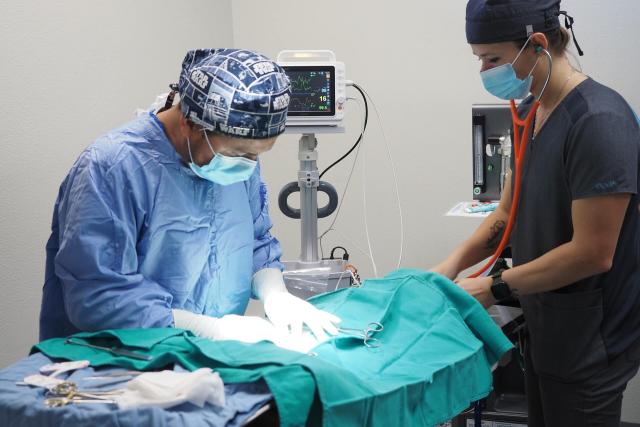 Surgery